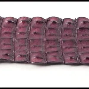Via La Moda | Accessories | New Via La Moda Genuine Nile  display picture 3